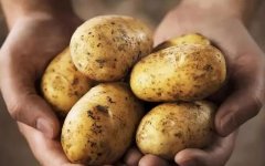土豆价格下跌，今年什么时候卖土豆时机好呢？