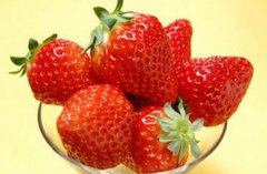 大棚草莓成新贵一个草莓2元钱